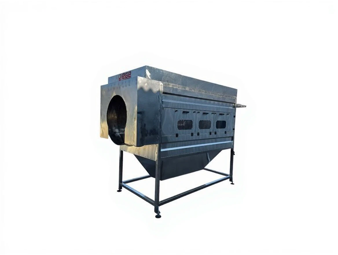 tbr956t3bsrme0ctycwanrxs68 500 Kg/Hour Fruit Vegetable Washing Machine - Image 1