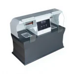 Double Jeweler's Benchtop Polishing Machine