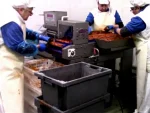 Otamatik  Şiş ve Kebap Saplama Makinası - Image 5
