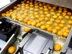 RX4 Egg Breaking Separating Machine - Image 6