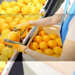 Citrus Packaging and Grading Machine