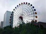 49 Meter Ferris Wheel for 120 Persons