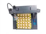 XY Egg Carton Coding Machine - Image 2
