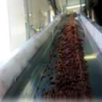 Powder Chocolate Transfer Machine