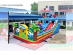 Giant Inflatable Play Park - Image 2