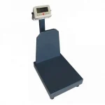 60 Kg Industrial Precision Scale