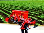 3-Row Roller Spring Inter-Cultivator Machine - Image 2