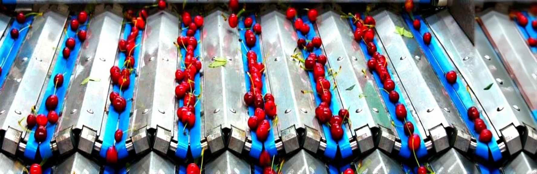 vj6nwawa6hrm80ctyc8agkh5kc Cherry Picking Machine - Image 1