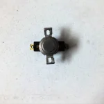Combustion Chamber Thermostat