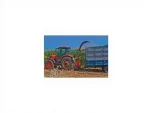 237 cm Single Row Corn Silage Machine - Image 7