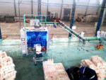 3-5 Packs / Minute Package Baling Machine - Image 4
