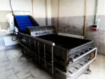 1000-1500 Kg/Hour Fruit and Vegetable Washing Machine