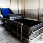 1000-1500 Kg/Hour Fruit and Vegetable Washing Machine