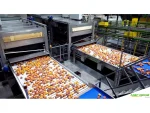 Apricot Peach Packaging and Sorting Machine - Image 6