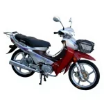 Asian 107cc Motorcycle As 110-8