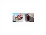 BJ 18 Metal Coin Counting and Sorting Machine - Image 2