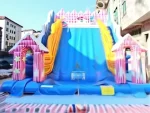 Giant Slide
