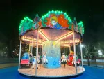12-Person Carousel - Image 10