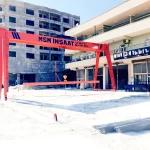 O-GV001 Conveyor Walking Crane System