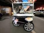 Rice Cart Mobile Chickpea Rice Cart Simit Cart - Image 3