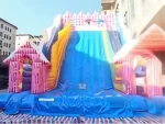 Giant Slide Inflatable Play Parks - Image 4