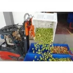 Forklift Case Handling and Tipping Attachment