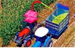 237 cm Single Row Corn Silage Machine - Image 5