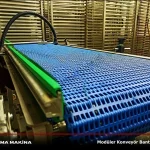 Stainless Modular Transfer Conveyor System
