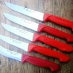 5'Li Plastik Saplı Premium Paslanmaz Çelik Kasap ve Mutfak Bıçağı