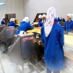 Corn Shelling Machine 90-150 Cob/Min