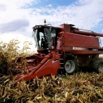 Combine Harvester / Case Ih Axial Flow 2388